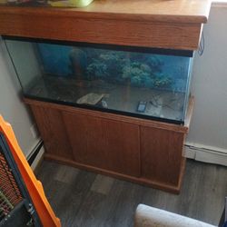 55gallon Fishtank