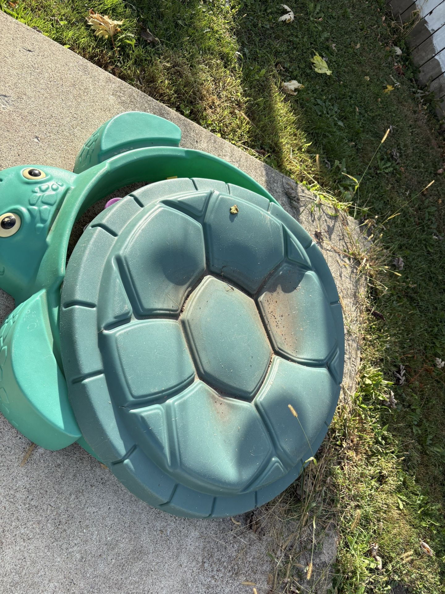 Turtle Sandbox