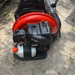Echo Leaf Blower 