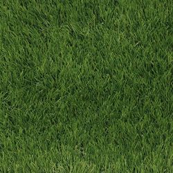 Select Surfaces Evergreen Artificial Grass Roll Size:7.38' x 11.68' $129.99