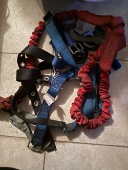 Harness