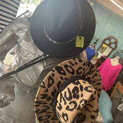 Fashion Hats $12 each