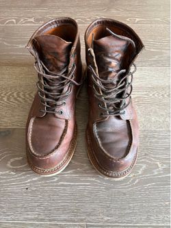 Redwing 1907