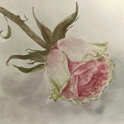 Art Flower ORIGINAL PAINTING PINK ROSE Floral Home Artwork Gift 6X8” M.Polyanska 