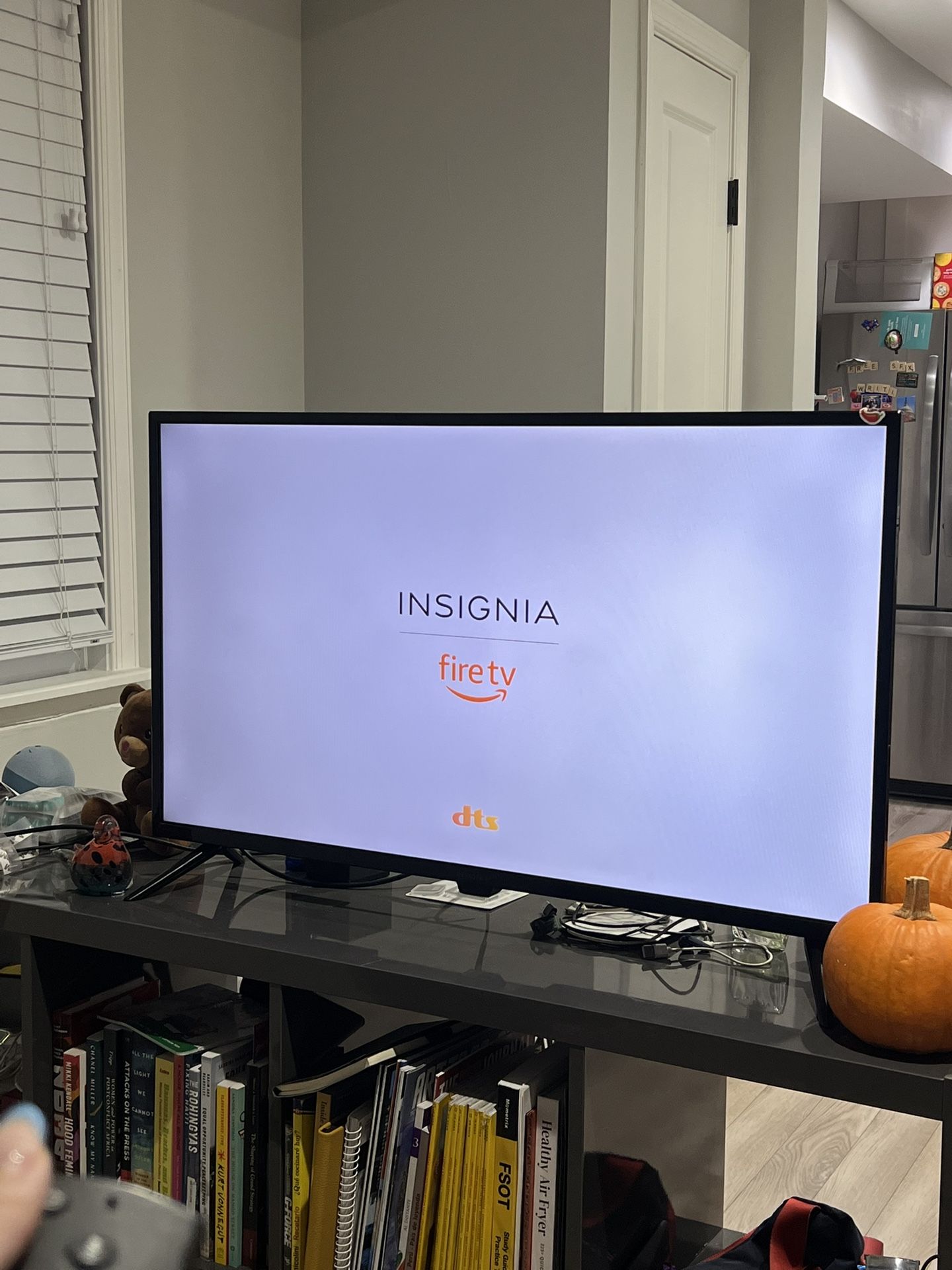 40 Inch Insignia TV With Remote