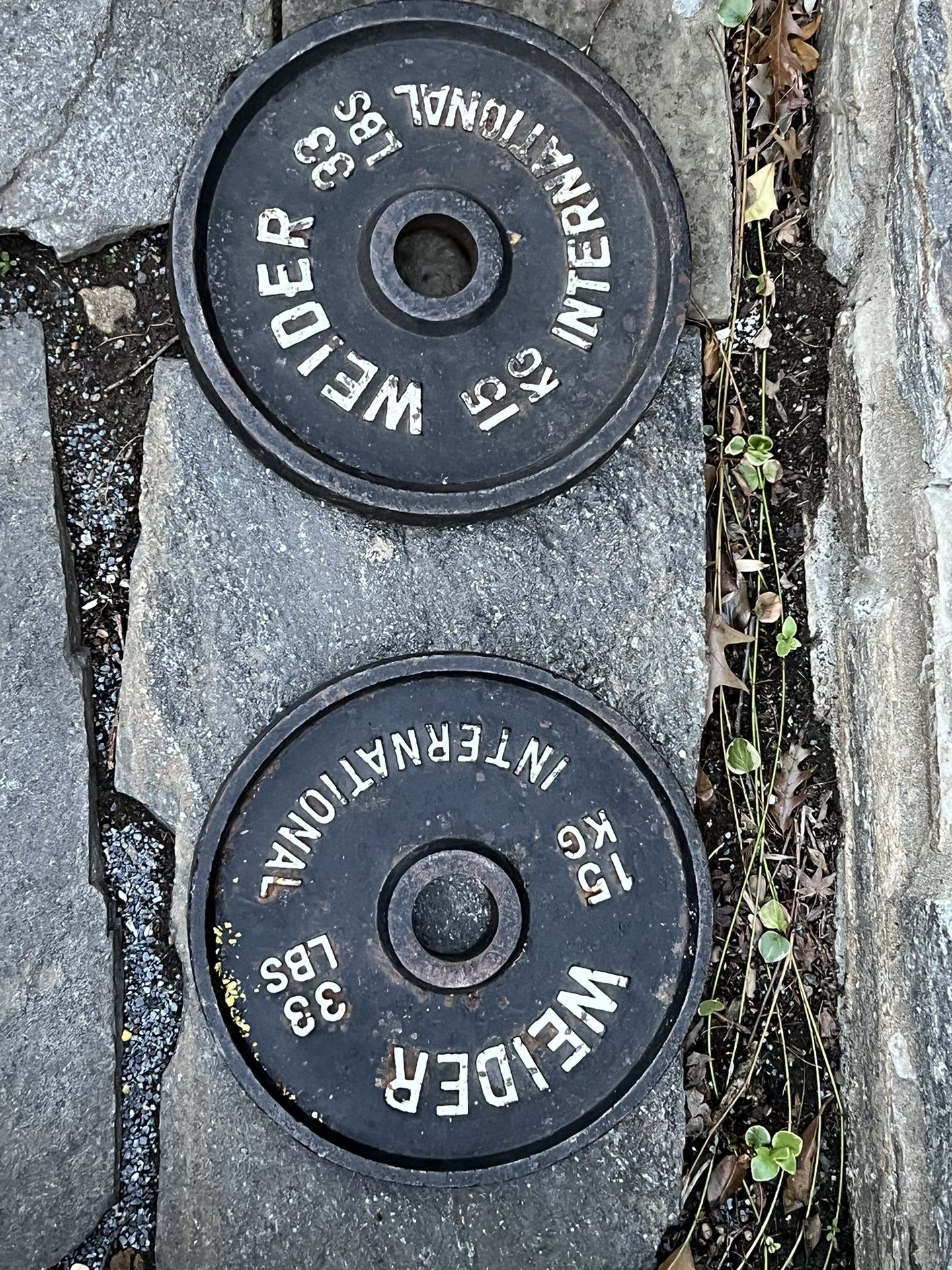 35lb Weight Plates
