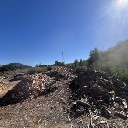 Firewood 