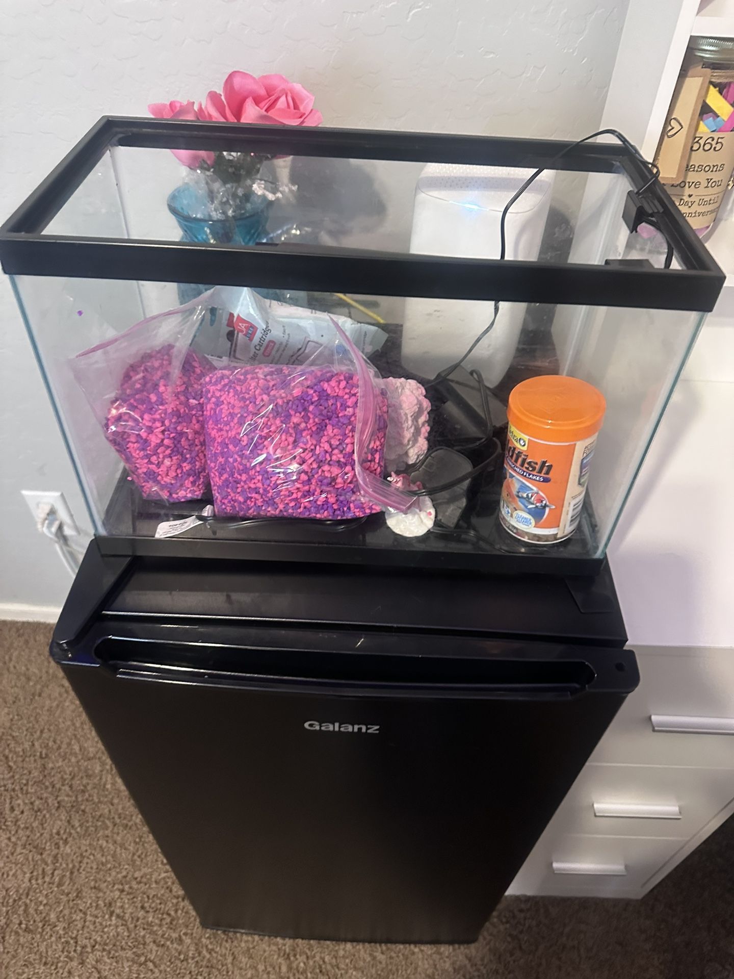 Fish Tank Starter 