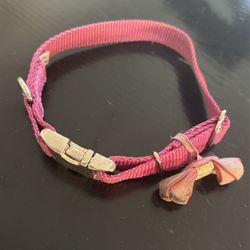Pink Dog Collar 