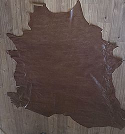 Authentic Ostrich hide