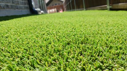 Turf