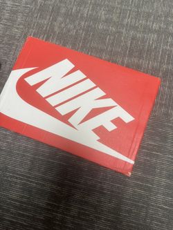 Nike Dunk Low Michigan With Box Size 12