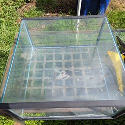 Fish Tank 40 Gal