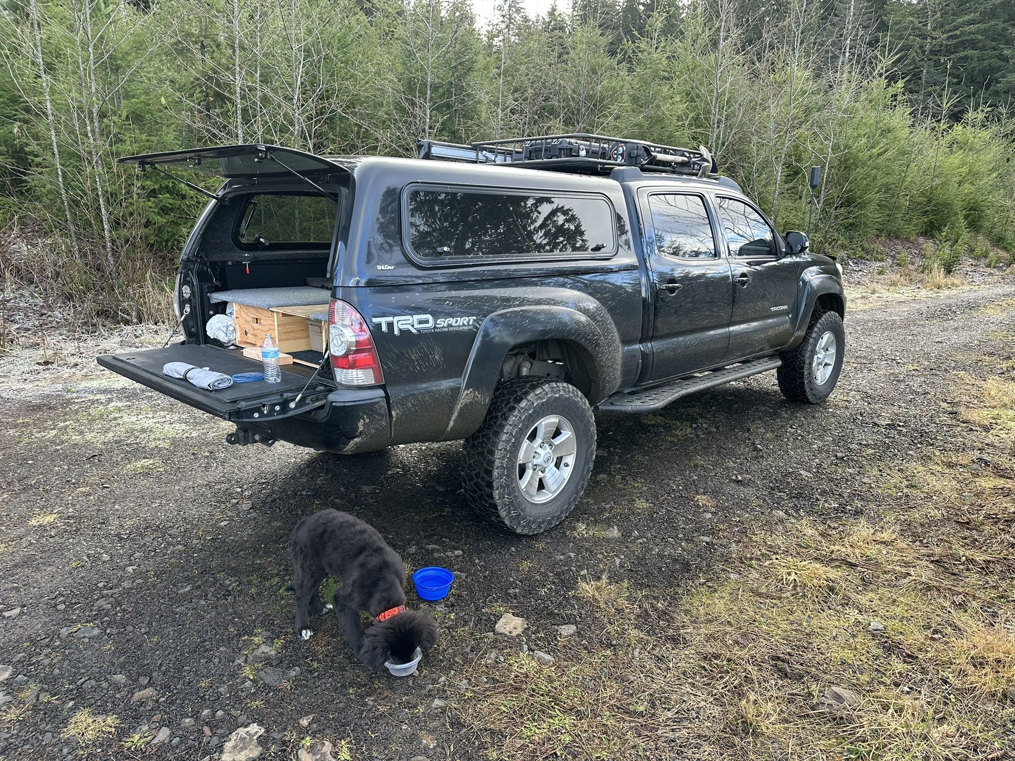 2nd Gen Tacoma 6ft Bed Snugtop Canopy W/wing-doors And Carpeted