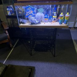 30 Gallon Aquarium Set Up