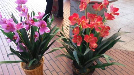 Artificial orchids