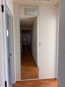 Hallway Mirror.  92”x23.5”