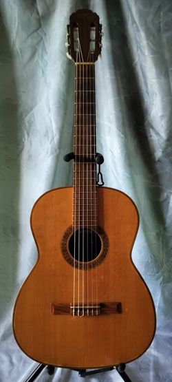 Giannini Serie estudio classical guitar with new bag