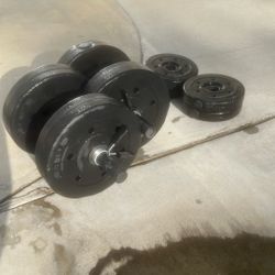 Weight Set With Curl Bars 
