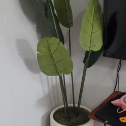 Artificial Plant