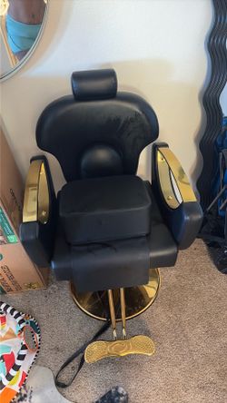 Salon chair and booster seat