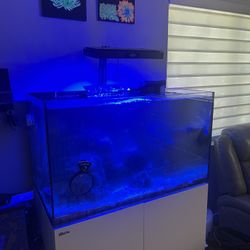 Fish Tank Redsea250 