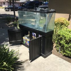 fish tank 