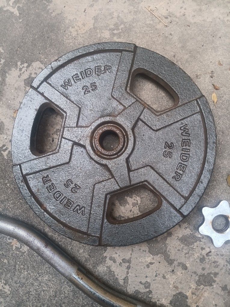 Ez Curl Bar With Weights