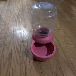 Pet Water Bowl