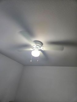 ceiling fans