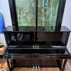 Brodmann P121 Piano