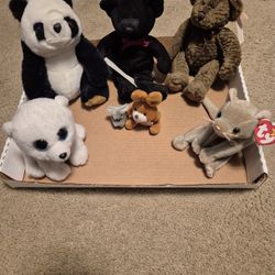 Please Adopt Us! Assorted Plush Toys Collection 