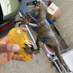 Jurassic Park Raptor 