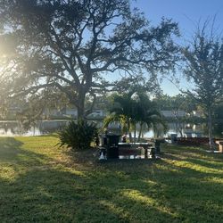 Cremation For 4 Increments.Lakeside Property. 