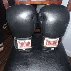 Boxing Gloves Leather 