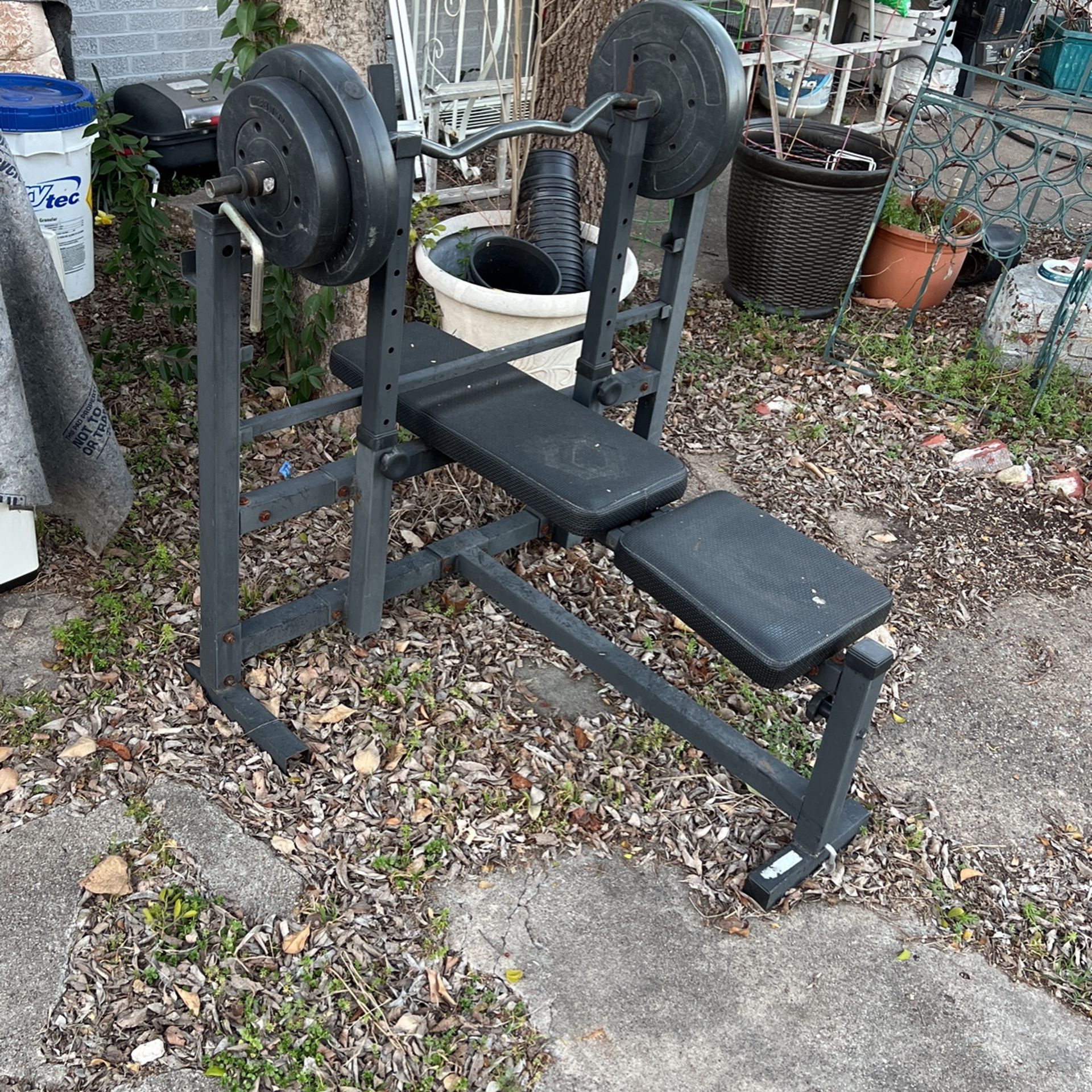 Bench Press
