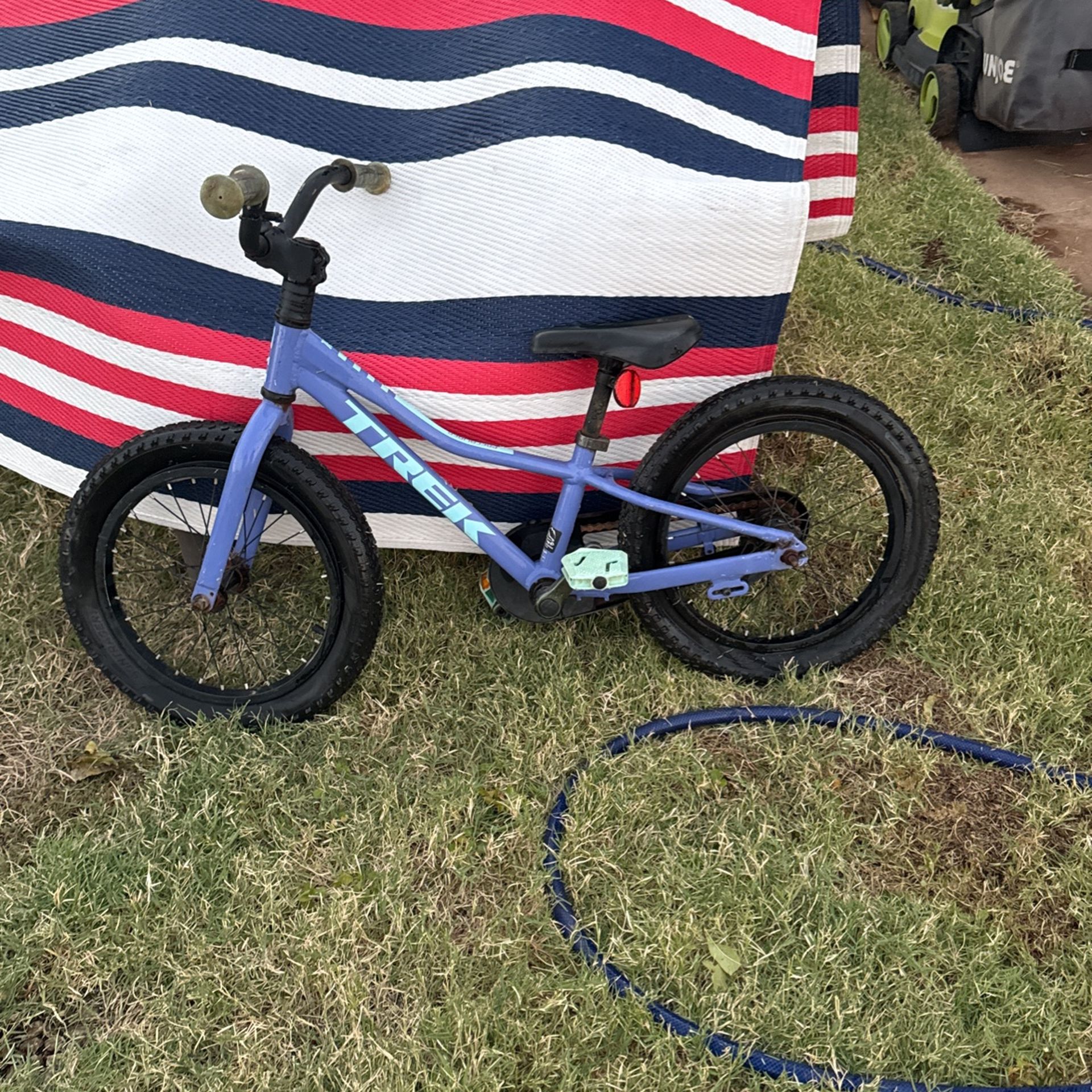 Trek Bike