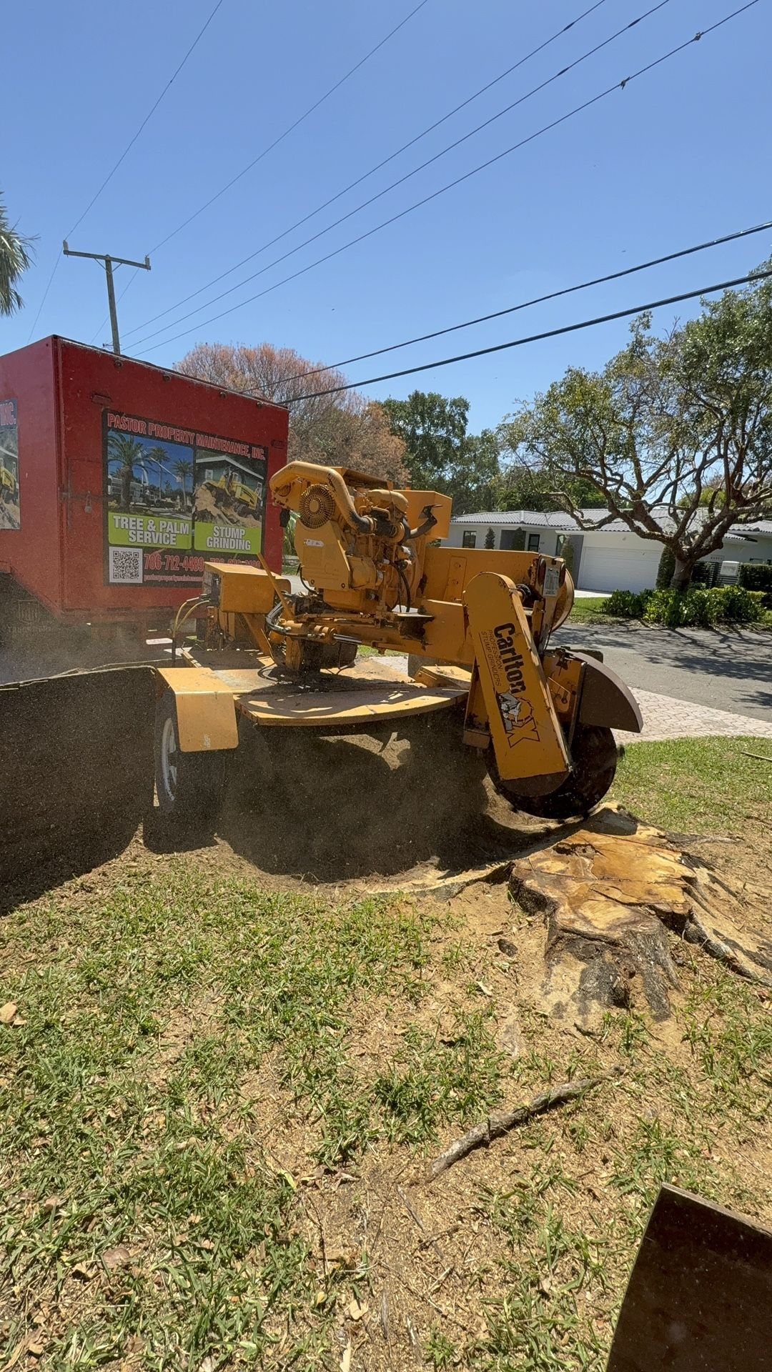 Stumps Grinding Molemos Troncos Y Raises