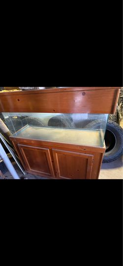 75gal Fish Tank