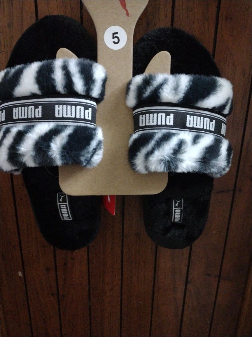Puma Zebra Slides 