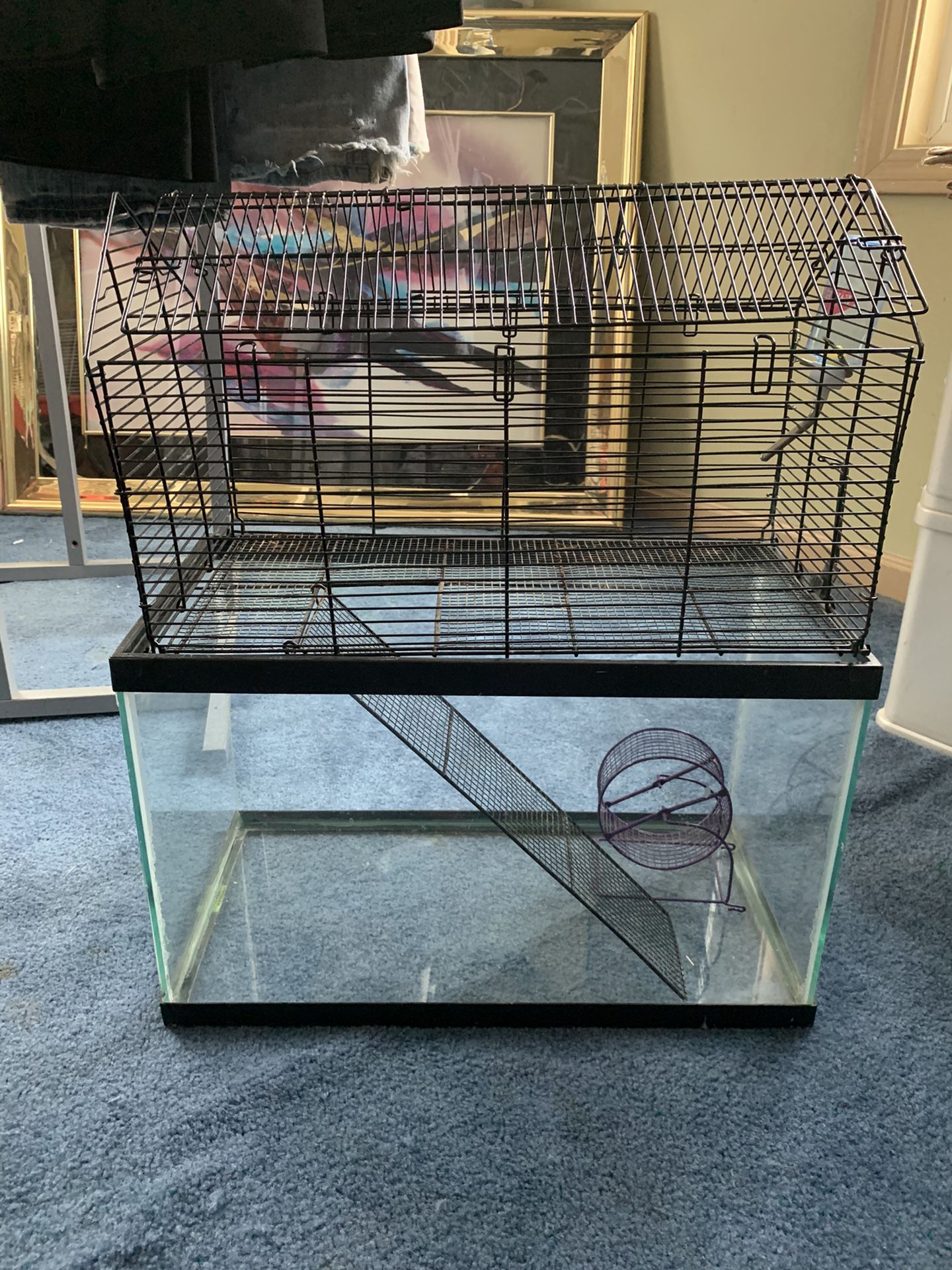 Small Animal 10 Gallon Glass Cage w/wire Topper & Accessories