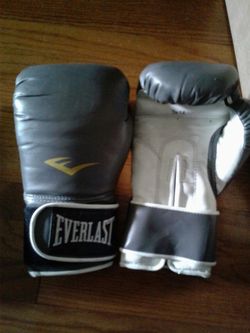 Everlast 14oz boxing gloves