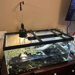 Complete Setup For Razorback Turtles 
