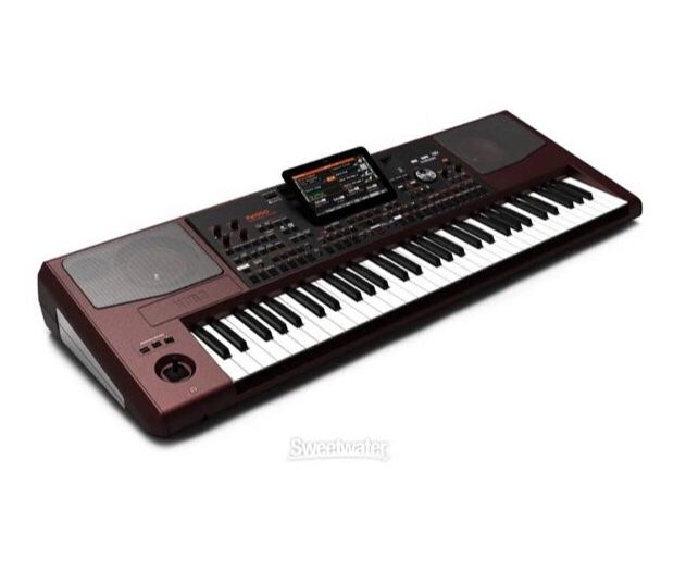 Korg Pa1000