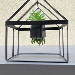 Floating Succulent Plant