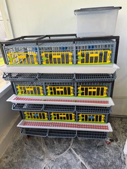 Quail cage ,3 levels, 9 separate cages