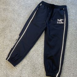 Arc’teryx Reflective Joggers, Medium (check out my page🔥) 