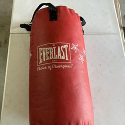 EVERLAST Punching Bag. 24” High  11” Wide
