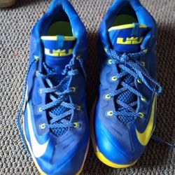 LeBron James Sneakers 