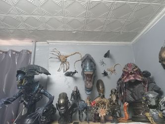 My whole AvP collection $5000 No offers